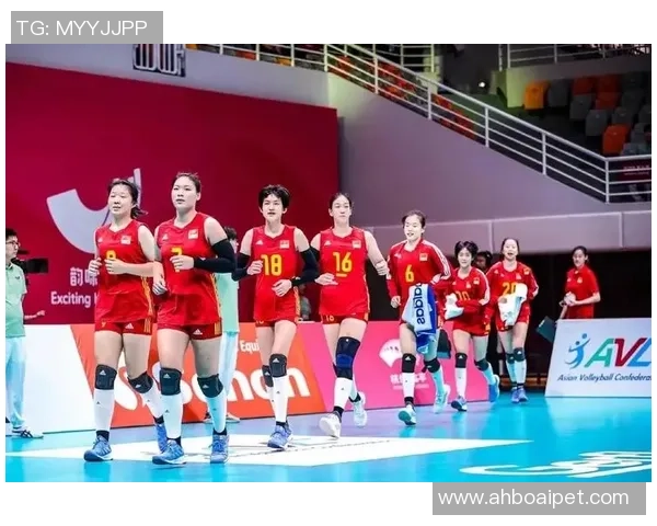 广州排球队实力深度剖析与其他球队的对比分析