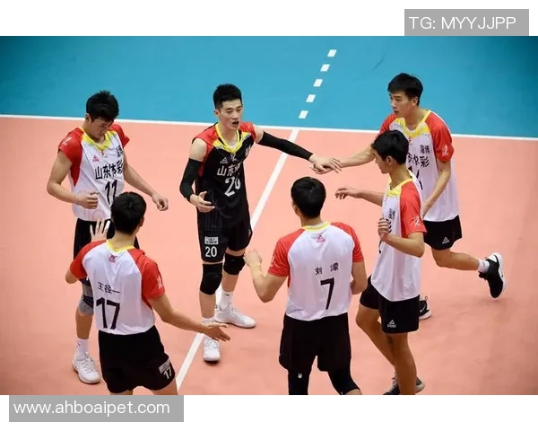 成都排球队实力强劲荣登全国排球力量排行榜第三名