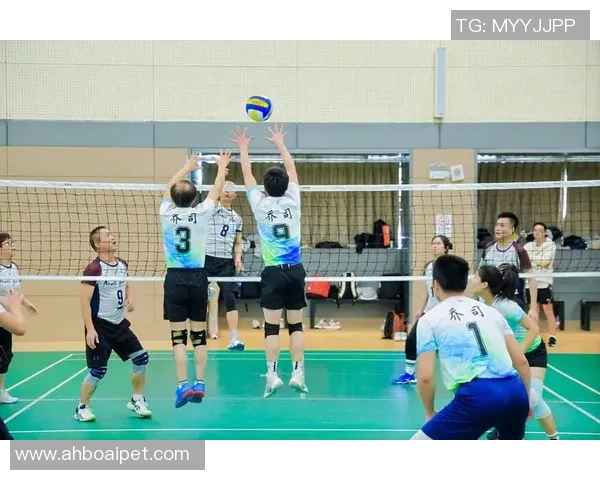 杭州排球队比赛经验的创新与变革引发热议