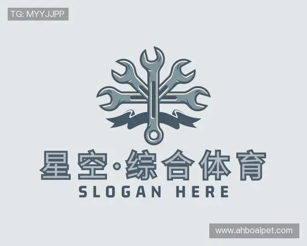 发现星空综合体育